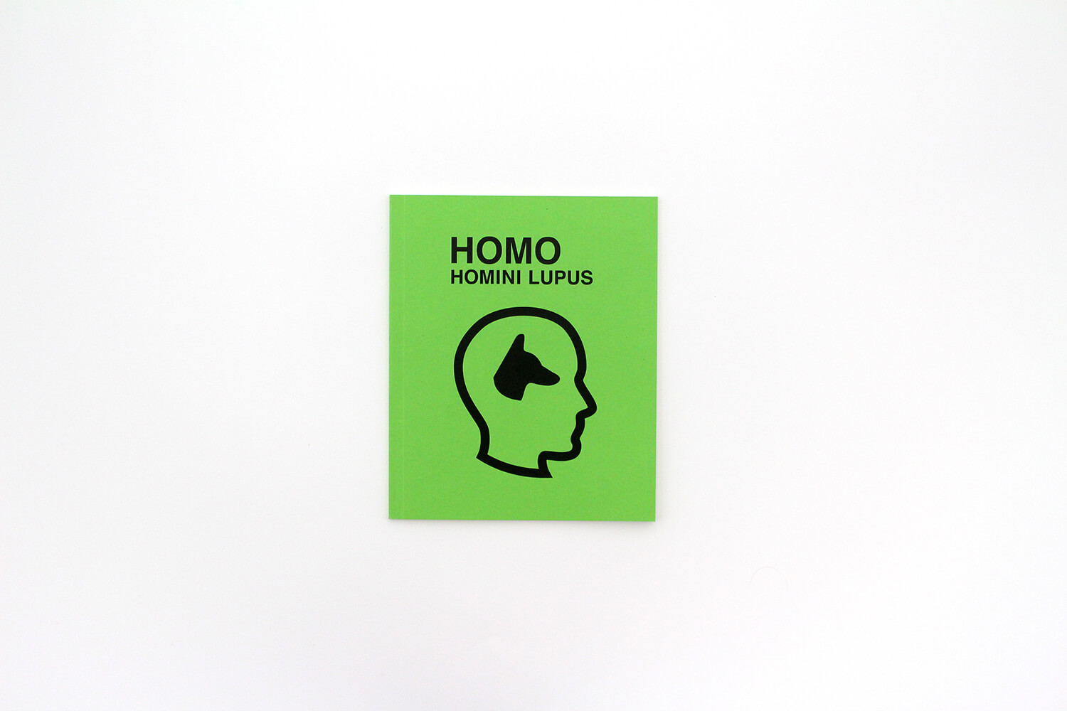 Sam3 – « Homo »