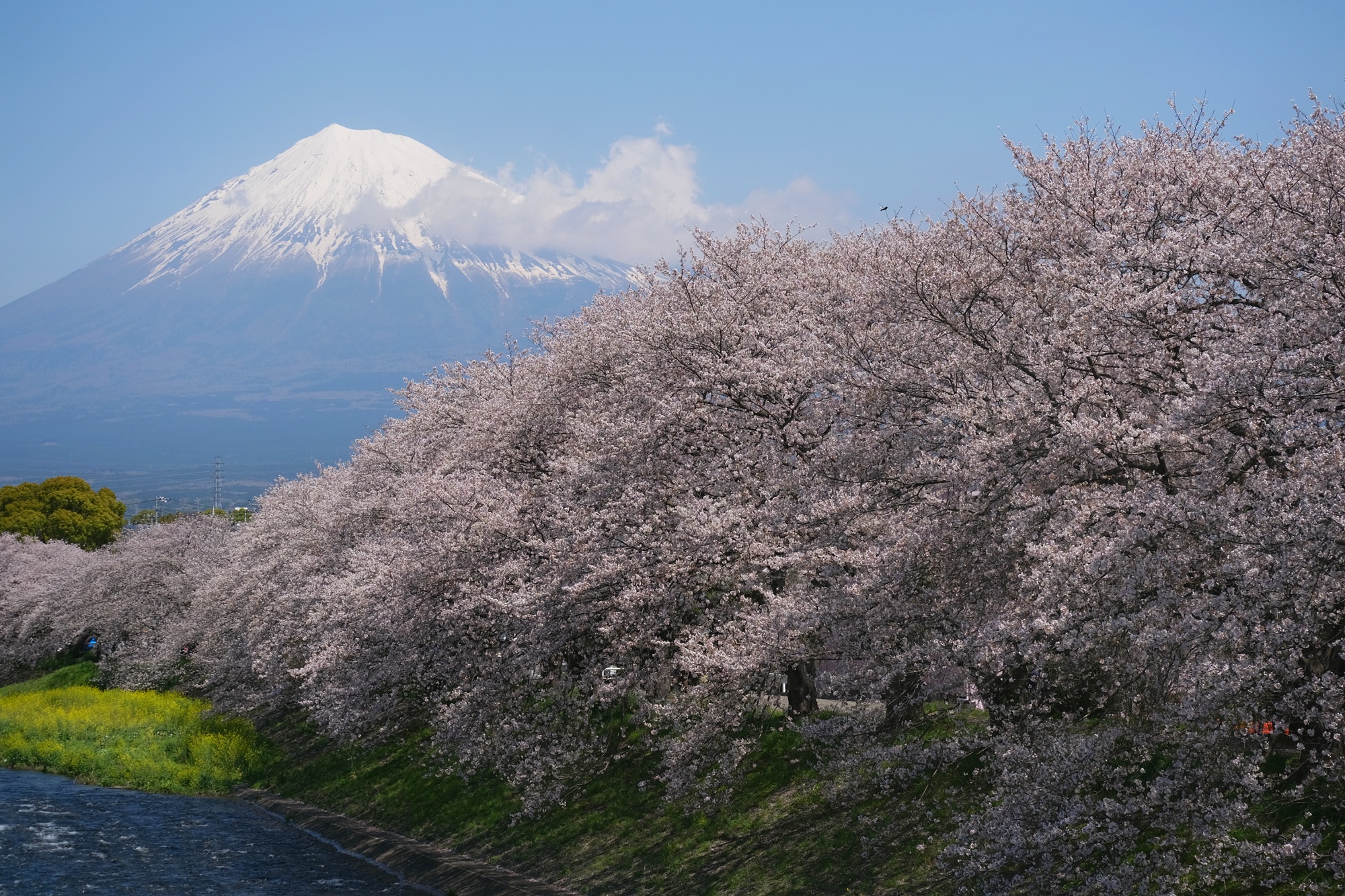 Japon, à pied sous les volcans : Carnet de voyage