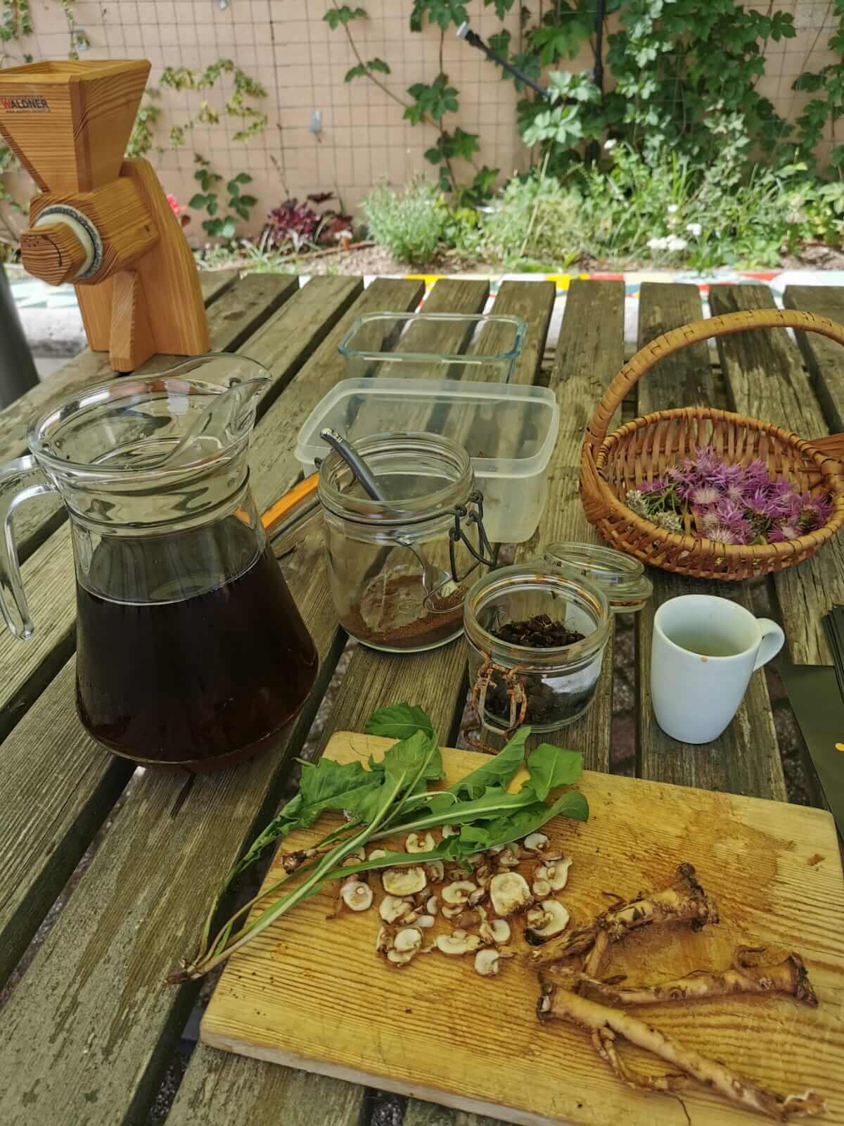 Café sauvage + inauguration de la sculpture aromatique « Maman la plus belle »