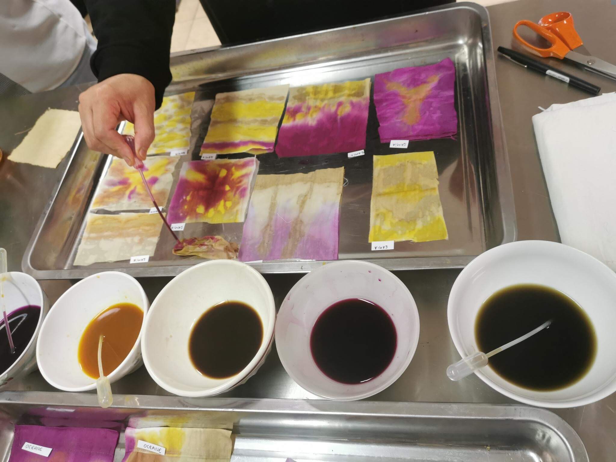 Ateliers Juste Ici – Initiation à la teinture mère