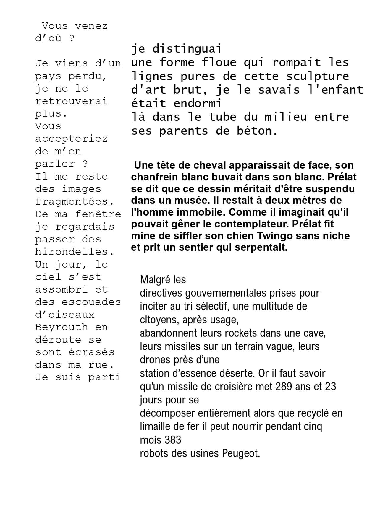 ZOOM REVERIE_page-0001